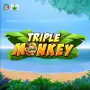 Triple Monkey