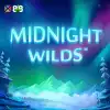 Midnight Wilds