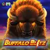 Buffalo Blitz