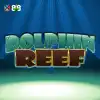Dolphin Reef