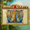 Jungle Giants