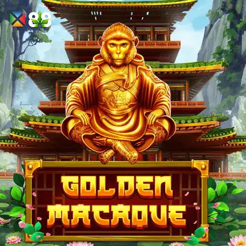 Golden Macaque
