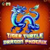 Tiger, Turtle, Dragon, Phoenix