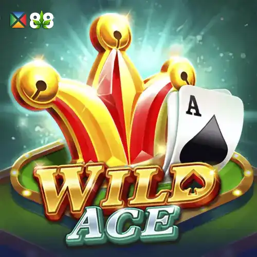 Wild Ace
