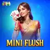 Miniflush