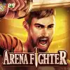 Arena Fighter