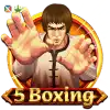 5 Boxing