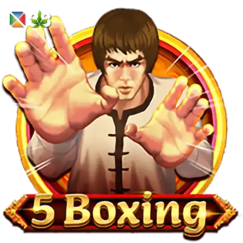 5 Boxing
