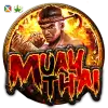 Muay Thai