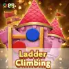 Ladder Climbing