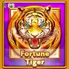 Fortune Tiger