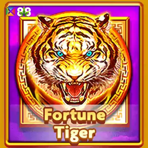 Fortune Tiger