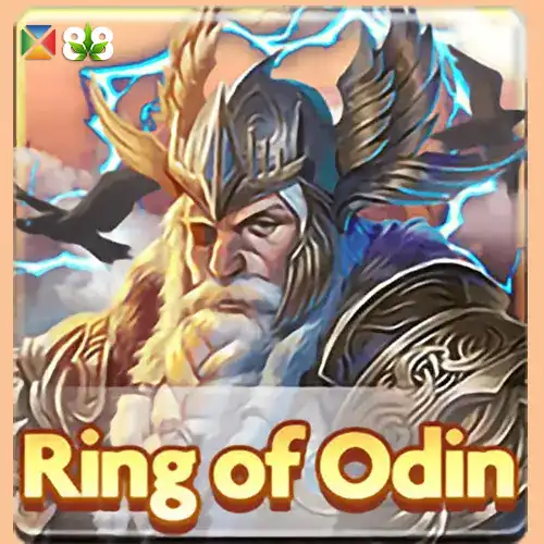 Ring of Odin