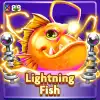 Lightning Fish