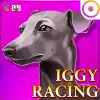Iggy Racing