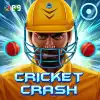 Cricket Crash