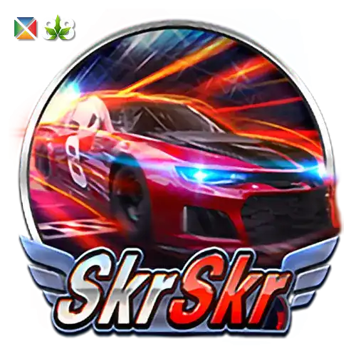 Skr Skr