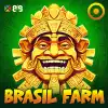 Brazil Farm