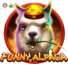 Funny Alpaca