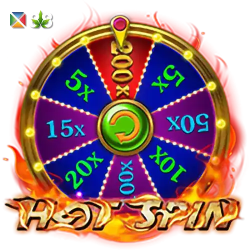 Hot Spin