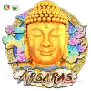 Apsaras
