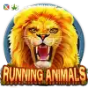 Running Animals