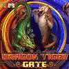 Dragon Tiger gate