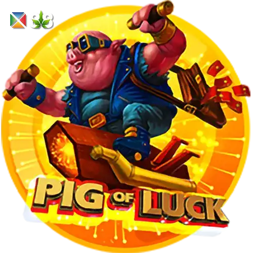 Pig Of Luck