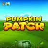 Pumpkin Patch