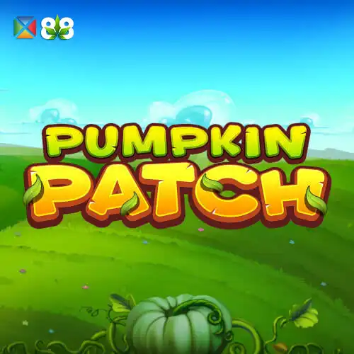 Pumpkin Patch