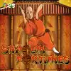 Shaolin Fortunes