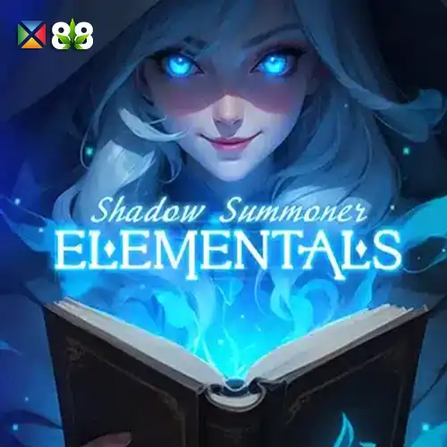 Shadow Summoner Elementals