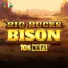 Big Bucks Bison 10K Ways