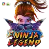 Ninja Legend