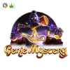 Genie Mystery