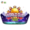 World Cup Final