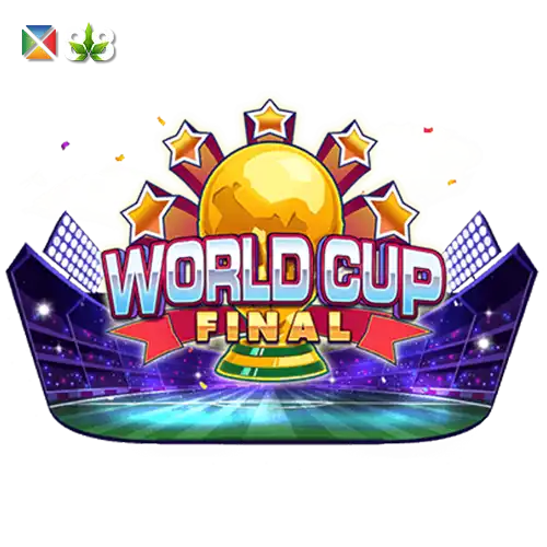 World Cup Final
