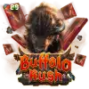 Buffalo Rush