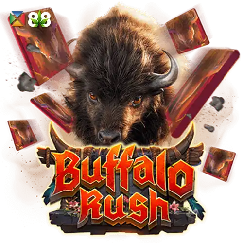 Buffalo Rush