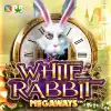 White Rabbit