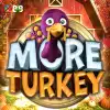 More Turkey