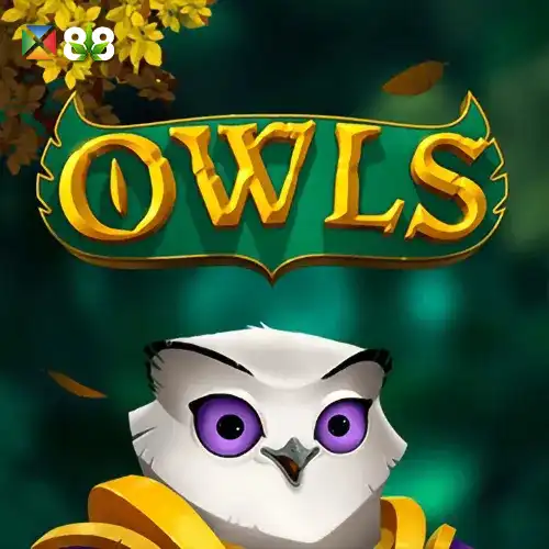 Owls