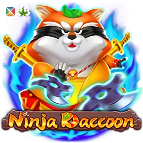 Ninja Raccoon