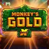 Monkeys Gold x Pays