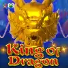 King Of Dragon