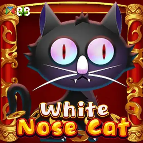 White Nose Cat