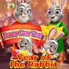 Year of the Rabbit