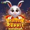 Fortune Rabbit Lock 2 Spin