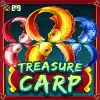 Treasure Carp