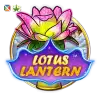 Lotus Lantern